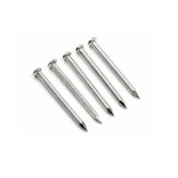 Galvanized Twisted Shank Concrete Nails with High Quality