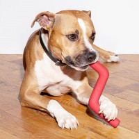 Reusable Silicone Chewing Toy /Bolt Bite Toy for Dogs