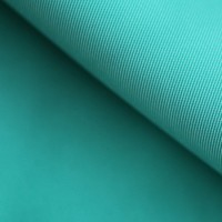 272t Nylon Taslan Fabric for Downjacket