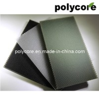 PC Honeycomb Board (plastic honeycomb panel)