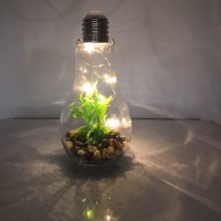 Lp3103 Glass Miniature Landscape Lamp with Copper Wire Light with Stone and with Plant for Home Deco