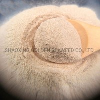Printing Chemical Textile Grade Sodium Alginate as Printing Paste