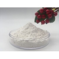Guangdong Manufacturer Nano Calcium Carbonate for Plastics and Rubber