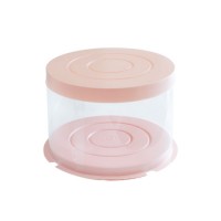 Hot Sales Custom Transparent PS Tray Pet Cake Blister Packaging