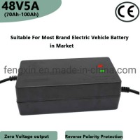 Manufacturer Top Quality 48V5V LiFePO4 Battery Charger/ Electric Car Battery Charger