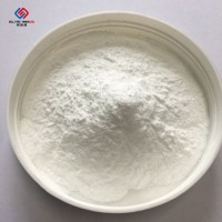 Wall Putty Concrete Additives HPMC / Hemc Starch Ether for Skim Coat Addictive