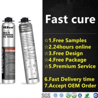 Fast Cure Straw Can One-Component PU Foam Polyurethane Spray Foam Sealant
