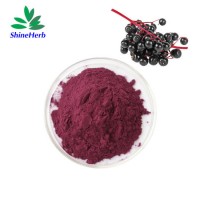Water Soluble Elderberry Extract 10%-25% Anthocyanin Powder Black Elderberry Extract