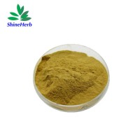 Water Soluble Powder Silybin Silymarin Milk Thistle Extract