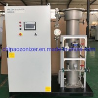 High Performance 1kg/H Ozone Capacity Air Feed Ozone Generator for Space Disinfection  Water Treatme