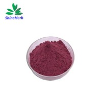 100% Natural Chokeberry Extract Powder Anthocyanin 5%-25% Aronia Berry Extract