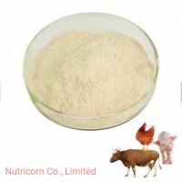 Feed Grade Phytase Enzyme