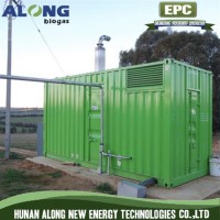 Transportable Biogas Generator Set CHP System with Container