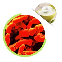 Bifidobacterium Breve Powder Probiotics for Human Health