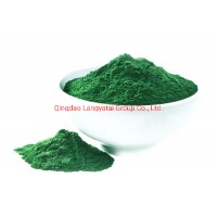 Organic Chlorella Powder with No Heavy Metals and Low Cfu