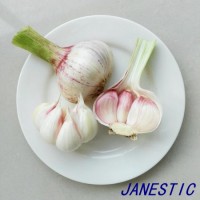 2020 New Crop Fresh Normal White Garlic From Shandong