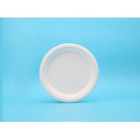 Earth Friendly to Go 9in Round Plate Made From Sugarcane Pulp