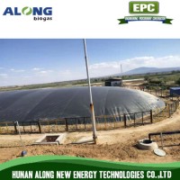Anaerobic Lagoon Digester Biogas Plant by HDPE Geomembrane for a Starch Plant