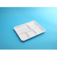 Biodegradable 5 Compartment Trays Made From Sugarcane Pulp