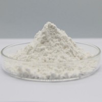 High Quality Antioxidant 1010 CAS 6683-19-8 in Stock Hindered Phenol