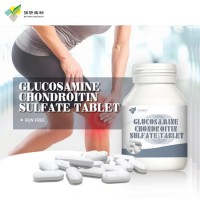 Joint Support and Joint Fix Chondroitin Sulfate Glucosamine Msm Tablet