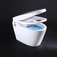 Ce/ISO9001/Watermark One-Piece Smart Toilet Bidet