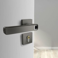 New Security Smart Fingerprint Door Handle Electronic Drive Lock Not Need to Change The Cylinder Eas