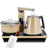 Guangdong Electrical Items Wholesaler Remote Controlled Double Wall Kettle with Hot Water Sterilizat