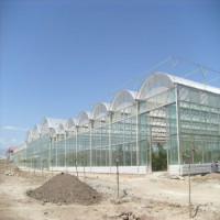 100% Bayer Virgin Material Polycarbonate Hollow Sheet for Greenhouse with High Light Transmission