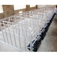 Professional High Process Pig Farrowing Crate for Pig Equipment