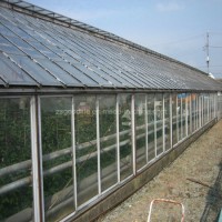 3mm Clear Polycarbonate Solid Sheet for Green House