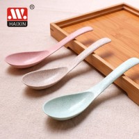 Plastic Cutlery Spoon for Tableware and Dinner