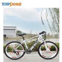 Removable Battery Rechargeable GPS Music Electric Bike with LCD Display