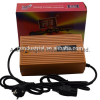 China Manufacturer High Quality 48V100ah Lithium Battery Charger Used for Electric Car Battery