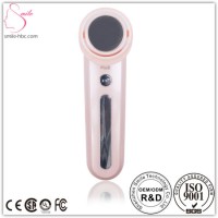Home Beauty Mini Handheld Personal Electric Skin Care Device Ionic Facial Massager for Skin Whitenin