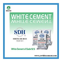 White Portland Cement 42.5 for Waterproofing Emulsion Manufacturer
