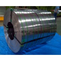 Factory Supply SUS 304/430 Stainless Steel Strips