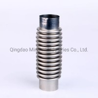Stainless Steel Exhaust Pipes/Bellows Hose/ Flexible Exhaust Pipe for Car