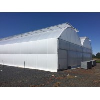 Gothic Roof Ventilation/ Arch Roof Ventilation Plastic Film /Po Plastic Film Greenhouse for The Nurs