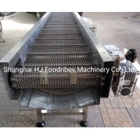 Food Industrial Wire Mesh Belt Conveyor/Stainless Steel Conveyor Belt Supplier