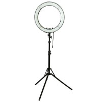Rl-12 LED Ring Light OEM Dimmable Photo Video Ringlight Kit with Mirror Remote Control for Live Yout