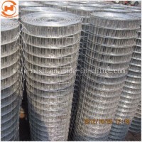 Stainless Steel/Galvanized Welded Wire Fencing Mesh