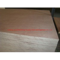 28mm Shipping Container Plywood Floor Container Wood Floor