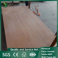 Wholesale Decorative Plywood  Pine Plywood Board or Panel for Furniture