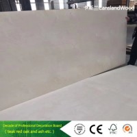 Birch/Film Faced/Commercial Plywood Used for Furniture/Building Material