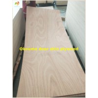 Plywood Door Skin/Door Skin 610mm/660mm/710mm/760mm/810mm/860mm/910mm Width