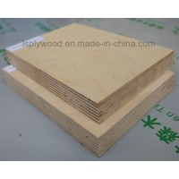 High Quality 100% Full Birch Plywood with Soundproof Function for Meeting Room