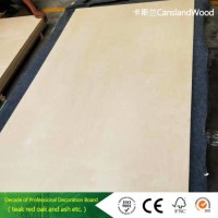 Birch/Film Faced/Commercial Plywood Used for Furniture