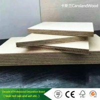15-18mm Birch/Film Faced/Commercial Plywood Used for Furniture