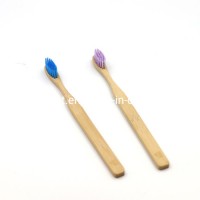 Wood Toothbrush Bamboo Handle Transparent Color Bristle